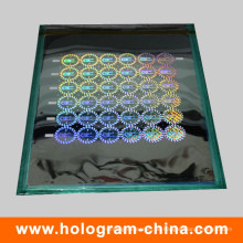 2D / 3D Laser Sicherheit Holographischer Master